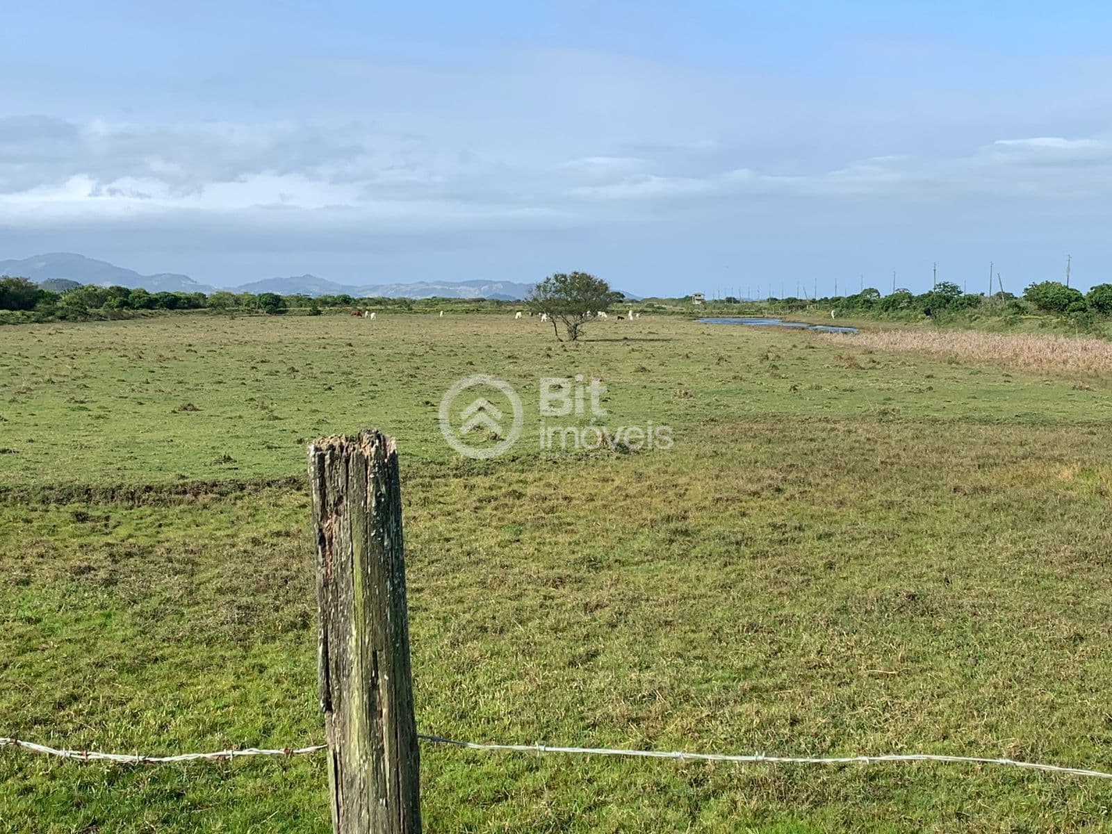 FAZENDA MISTA Á VENDA COM CASA DE MADEIRA