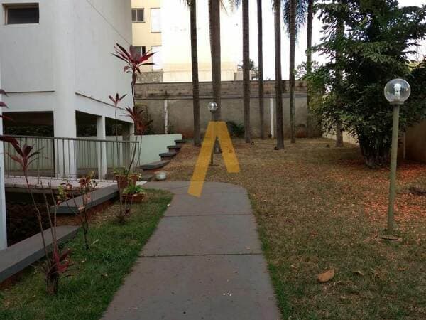 Apartamento em Ribeirão Preto - Jardim Palma Travassos