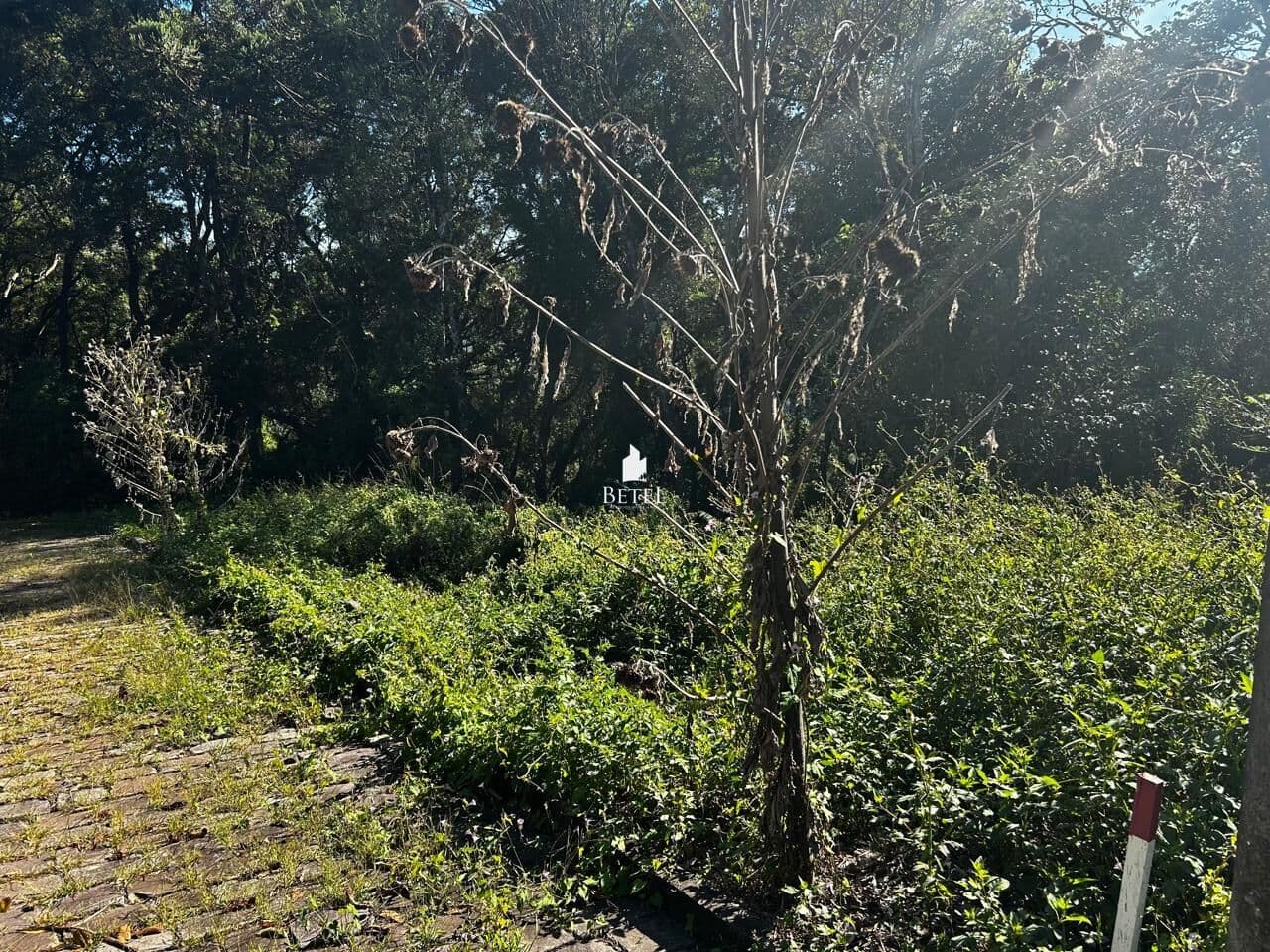 Lote/Terreno em Caxias do Sul - Linha 40