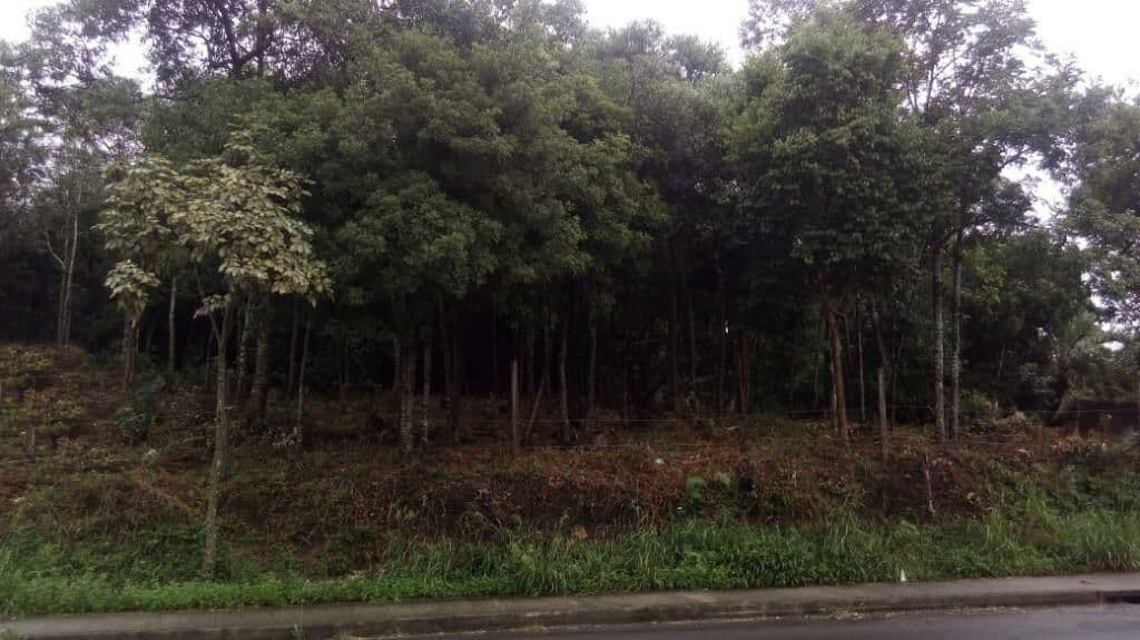 Lote/Terreno em Caxias do Sul - Desvio Rizzo