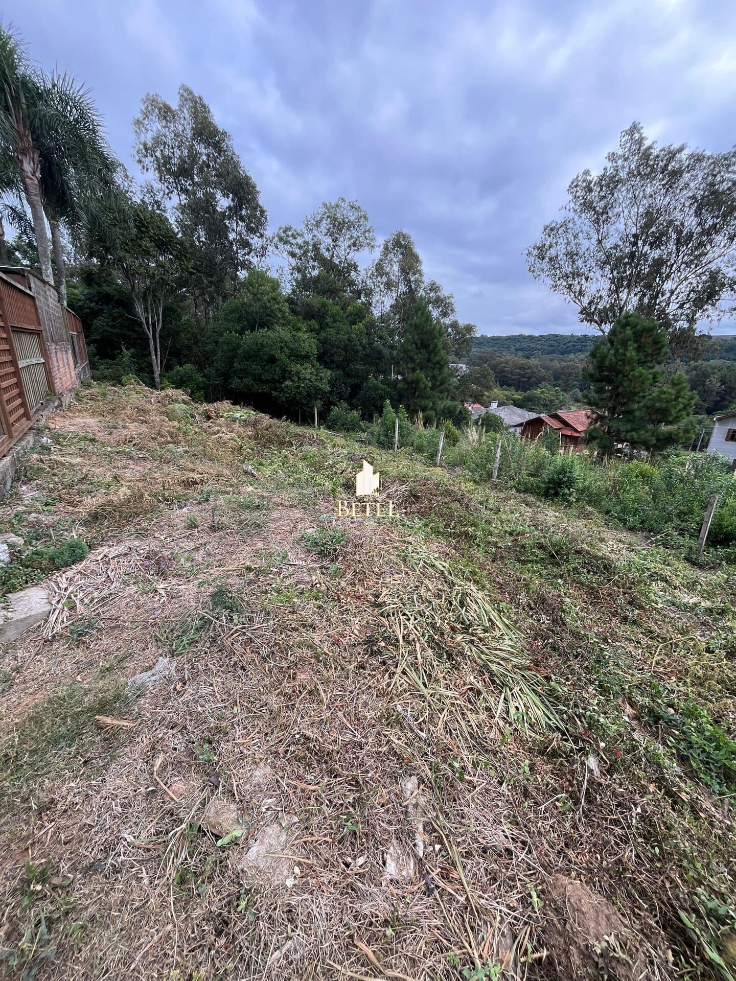 Lote/Terreno em Caxias do Sul - Vinhedos