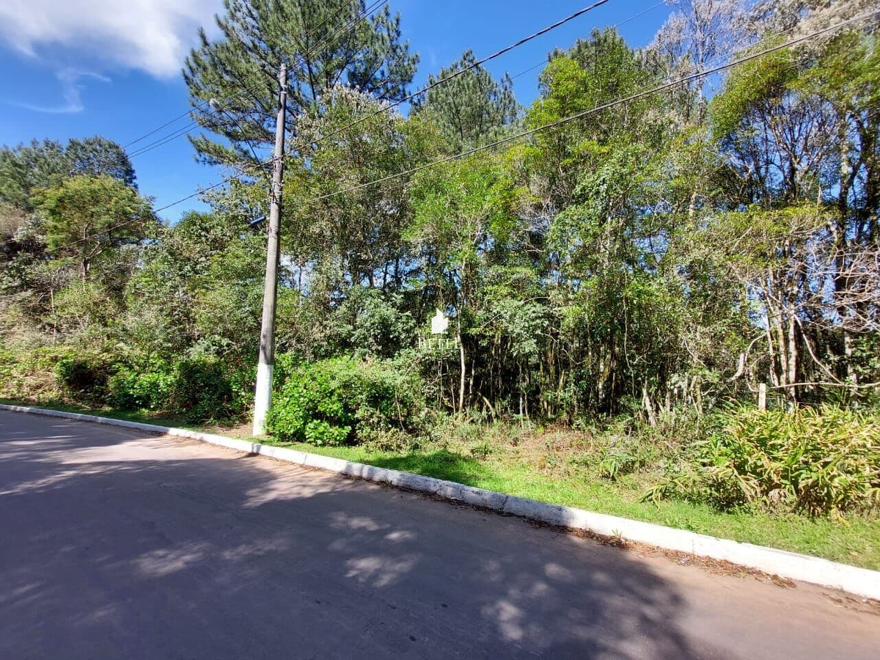 Lote/Terreno em São Francisco de Paula - Centro
