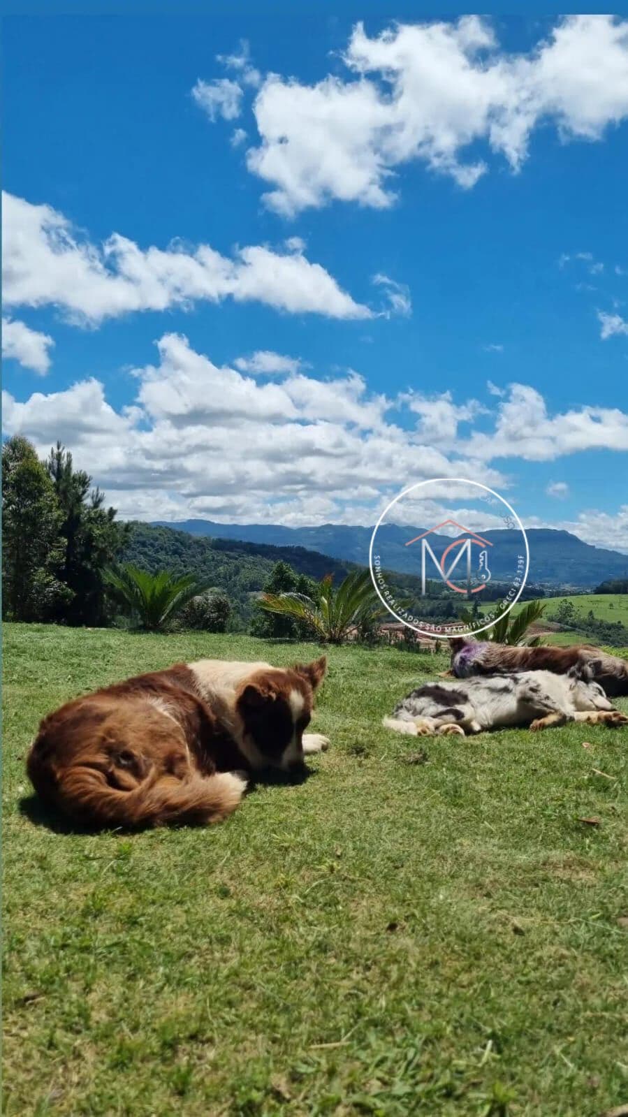 Fazenda/Sítios/Chácaras em Campo Bom - Quatro Colônias