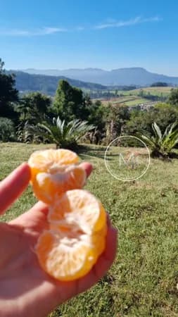 Fazenda/Sítios/Chácaras em Campo Bom - Quatro Colônias - Zona Rural