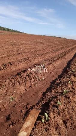 Fazenda/Sítios/Chácaras em General Câmara - Centro