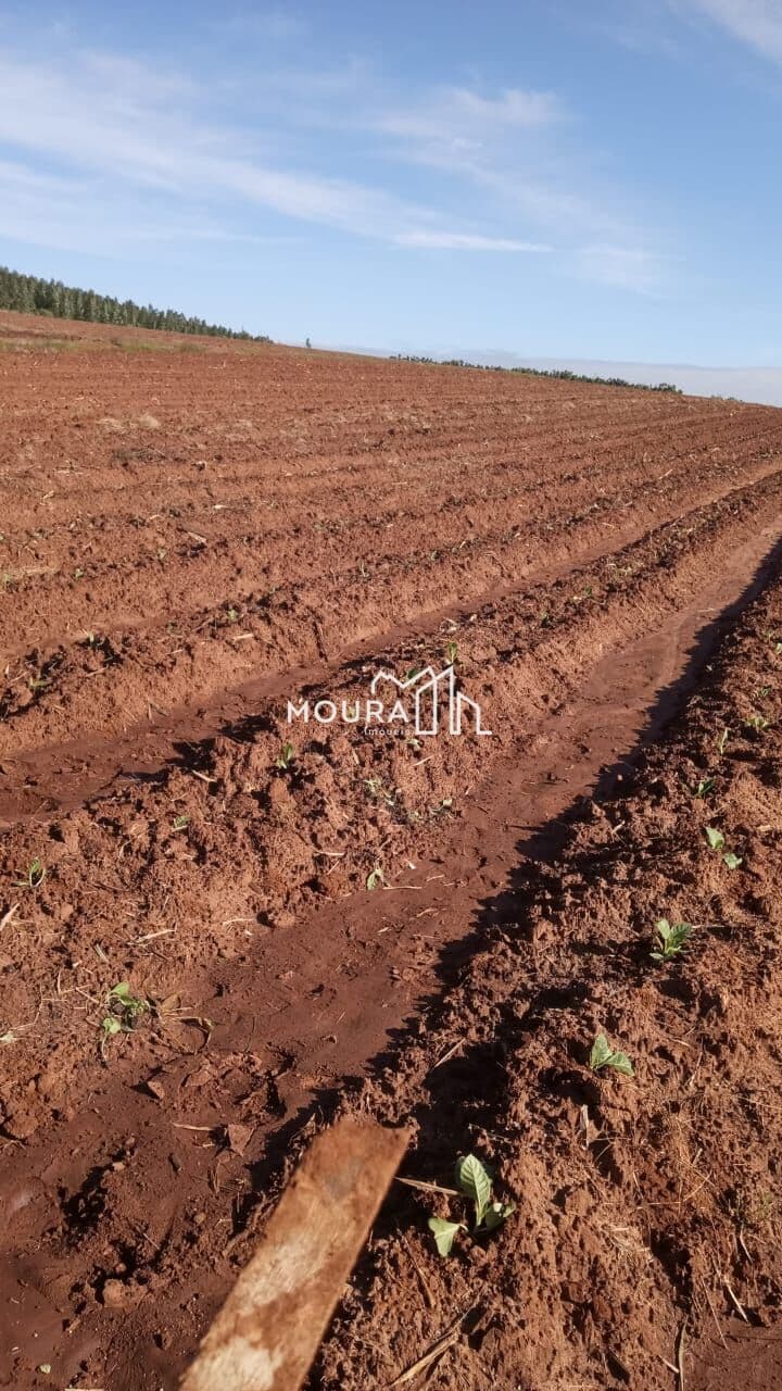Fazenda/Sítios/Chácaras em General Câmara - Centro
