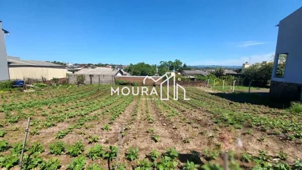 Lote/Terreno em Venâncio Aires - Aviação