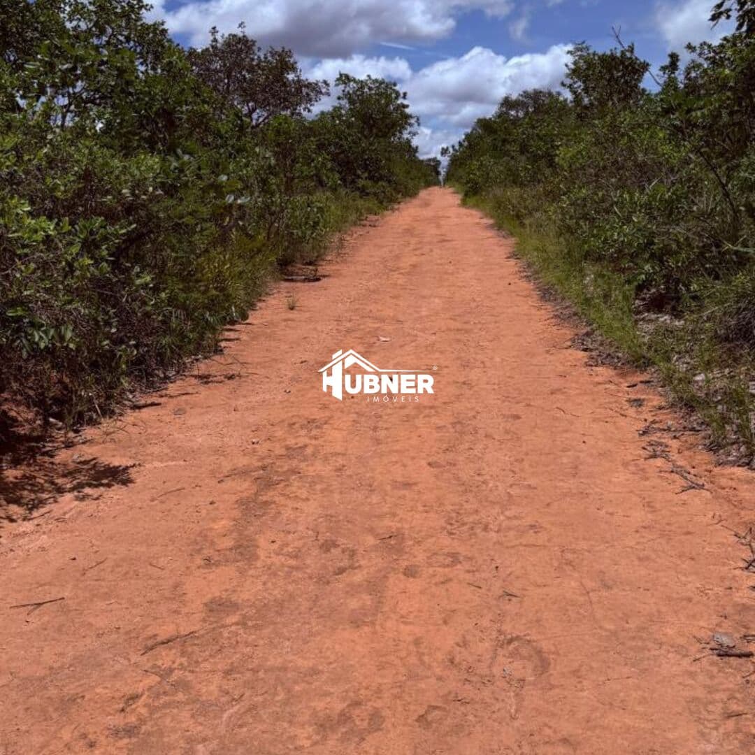 Fazenda I Chapão das Águas Grão Mogol - MG