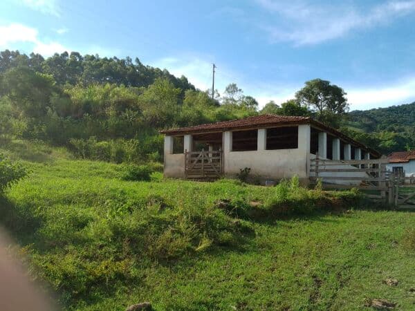 Fazenda/Sítios/Chácaras em Borda da Mata - Centro