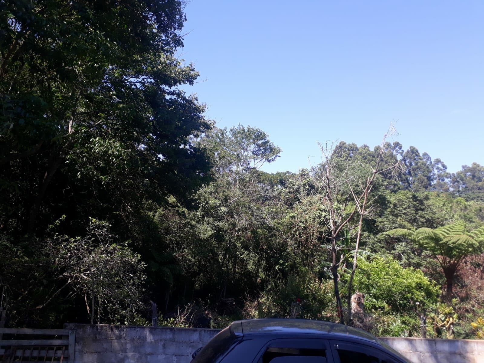 Fazenda/Sítios/Chácaras em Pouso Alegre - Cidade Vergani