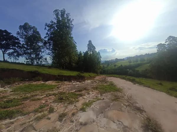 Fazenda/Sítios/Chácaras em Silvianópolis - Centro