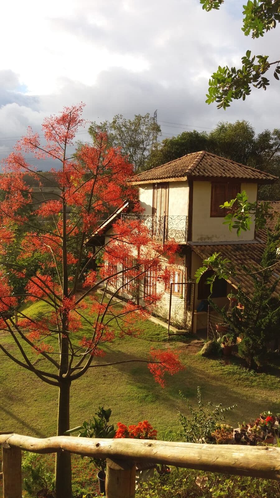 Casa térrea com lago de carpas em terreno gigante!