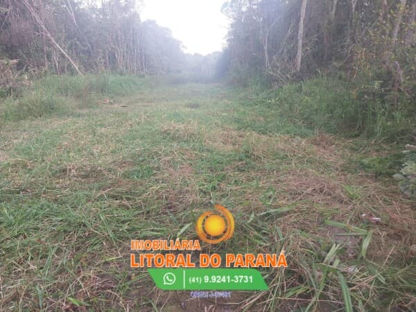Terreno 390m ² - Praia Grande - Matinhos!