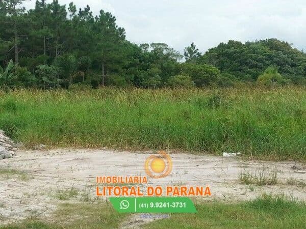 Área com 3 Excelentes Terrenos 1.965m² Localizado de Frente para a Rodovia
