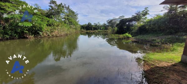 📈 Lucratividade na natureza: Chácara com múltiplas possibilidades de investimento, próxima a Porto Velho/RO! 💰