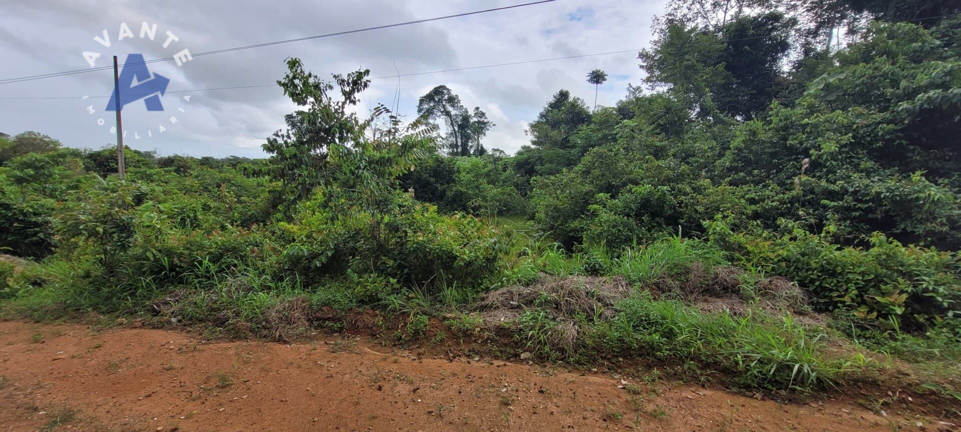 Chácara com Potencial para Criação ou Moradia! Na Estrada do Areia Branca
