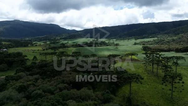 Fazenda de 524 Hectares em Bom Retiro/SC