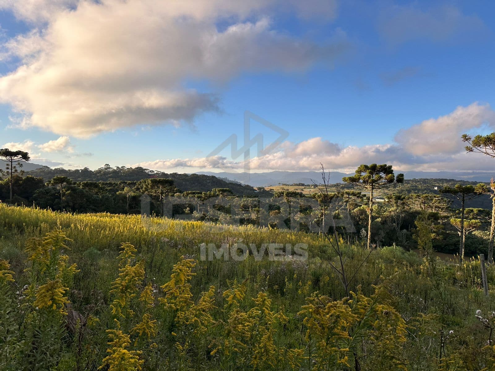 Terreno em no Morro da Igreja em Urubici - 2 Hectares
