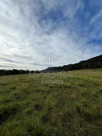 Chácara 2 Hectares Invernador