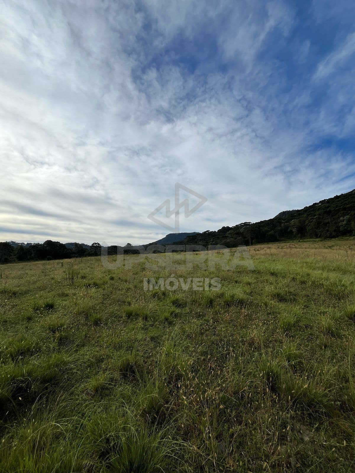 Chácara 2 Hectares Invernador