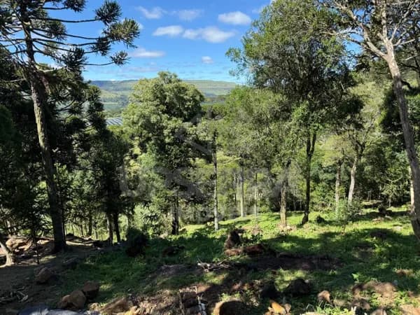 Área Rural 3 Hectares Com Cabana em Urubici