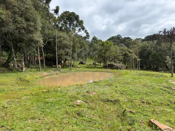 Terreno a apenas 7km do centro