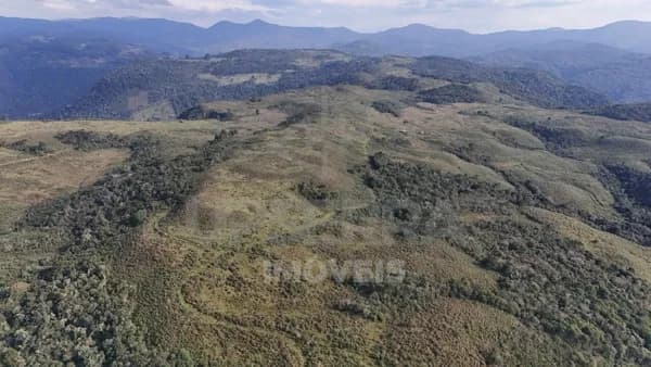 Fazenda/Sítios/Chácaras em Rio Rufino - Centro