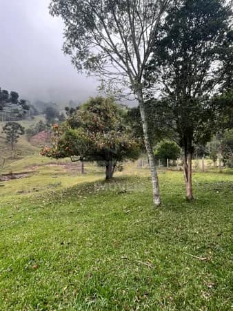 Chácara/Sitio em Urubici Com Cachoeira/Nascente