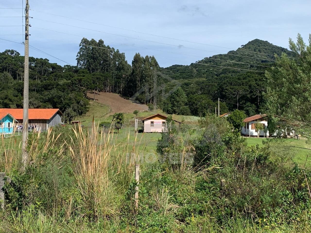 Area Rural em Urubici Proximo ao Morro da Igreja