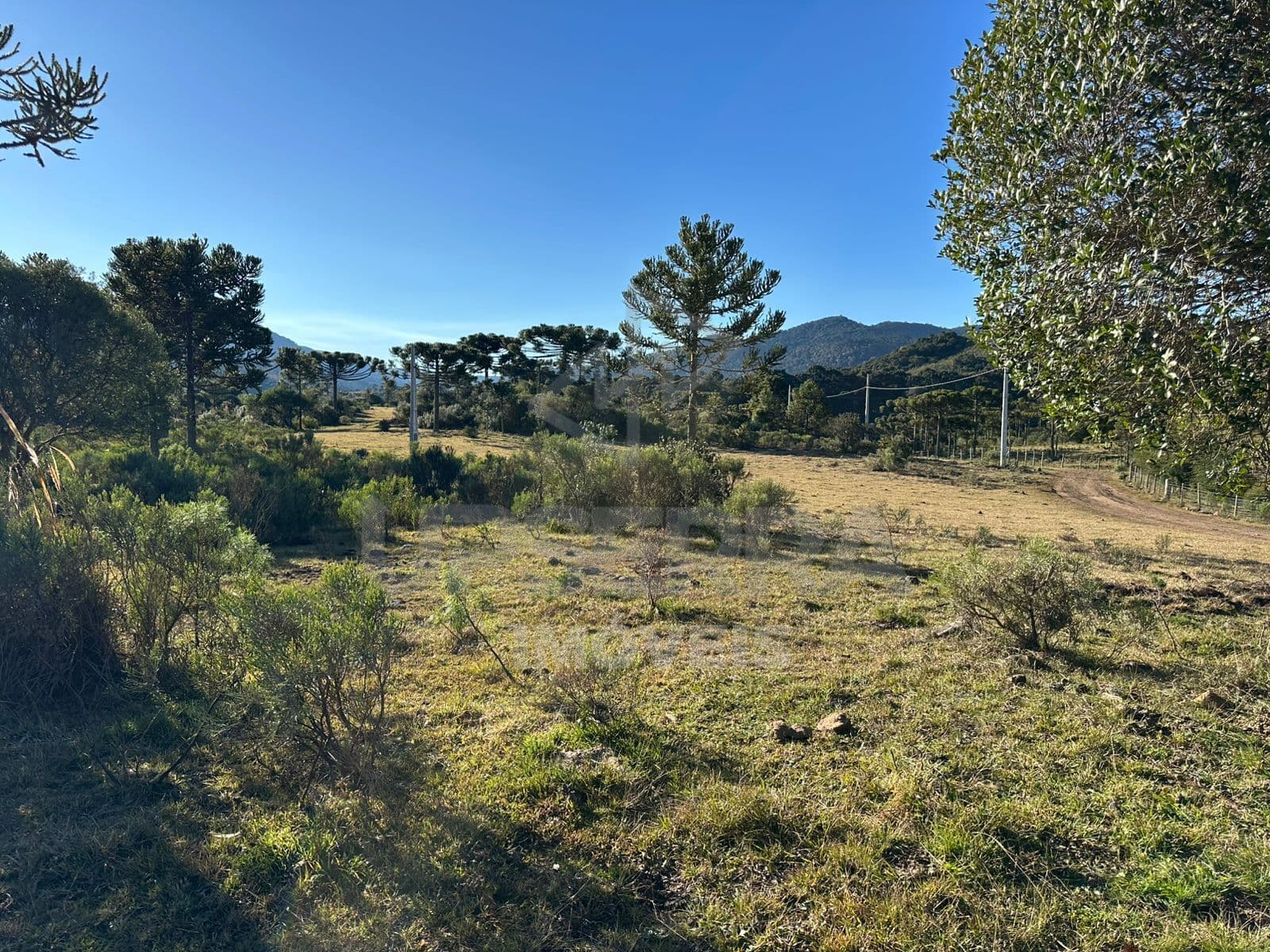 Area Rural de 2 Hectares em Urubici