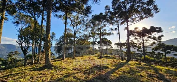Terreno de 6.5 Hectares com Vista para o Morro da Igreja em Urubici - SC