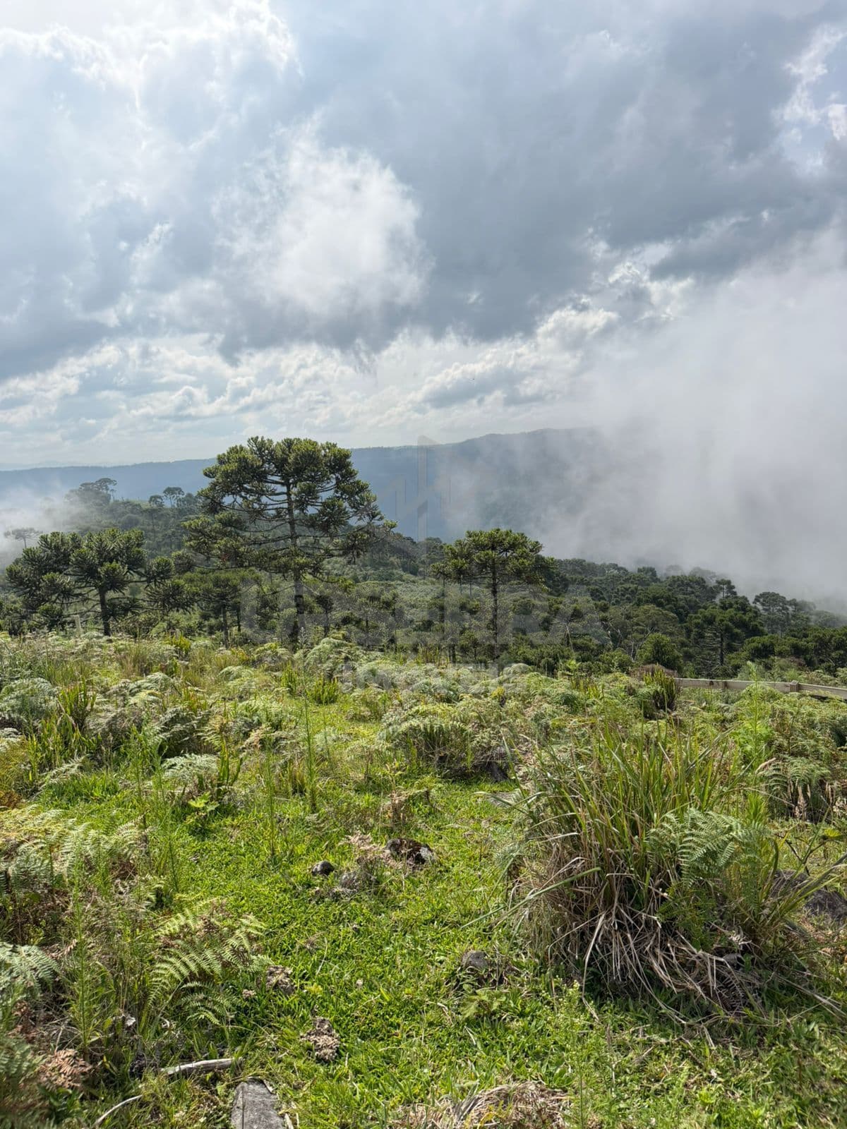 Chácara de 2 Hectares com Vista Incrivel em Urubici/SC