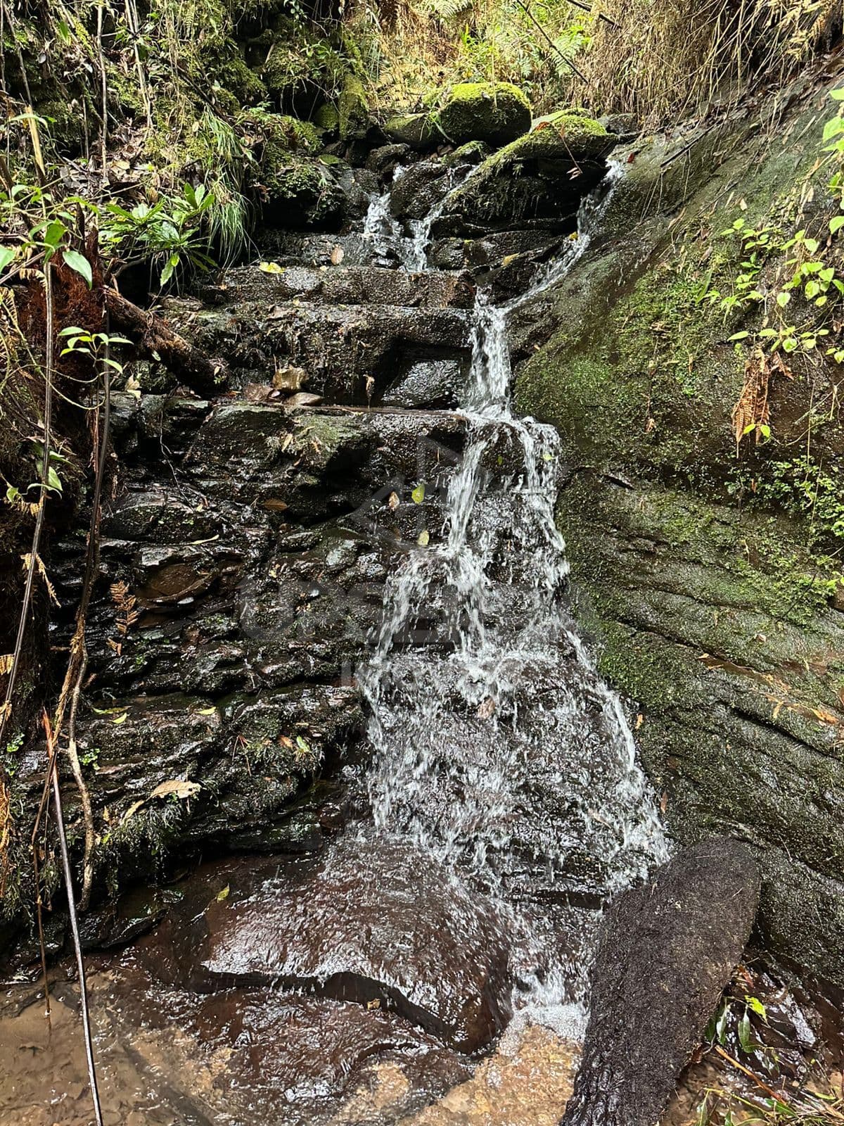 Terreno de 2 Hectares com Cachoeira e Araucárias – A 14 km de Urubici