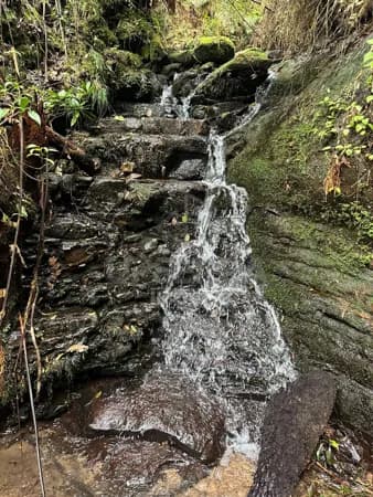 Terreno de 2 Hectares com Cachoeira e Araucárias – A 14 km de Urubici