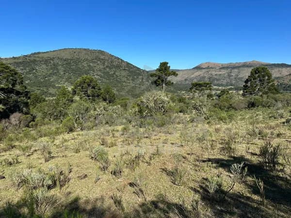 Area Rural em Urubici de Frente para Asfalto