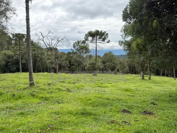 Área Rural em Urubici de 2 Hectares