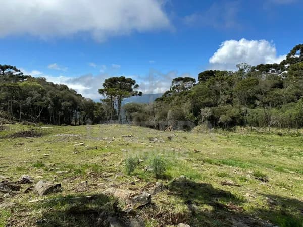 Terreno de 4 Hectares com Lago – Morro da Igreja, Urubici/SC