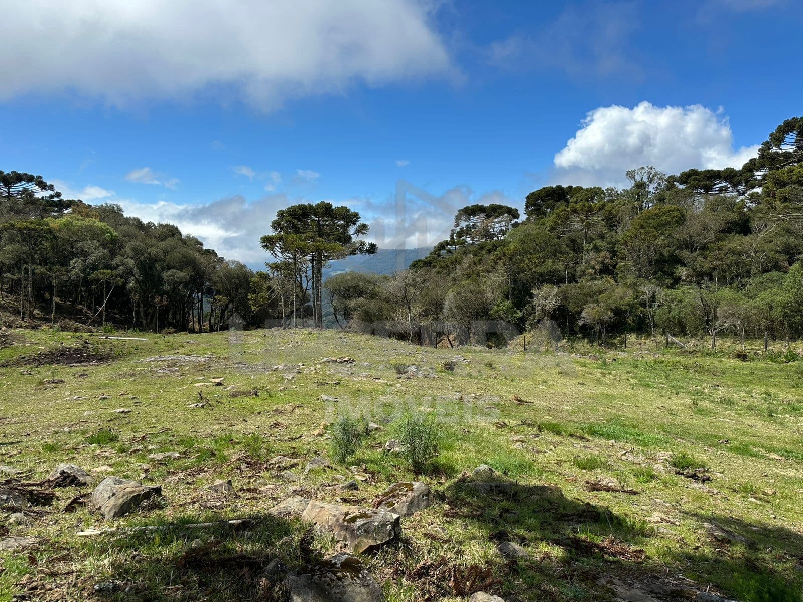 Terreno de 4 Hectares com Lago – Morro da Igreja, Urubici/SC