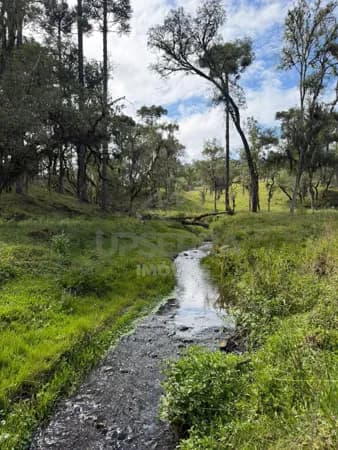 Terreno Exclusivo em Urubici – 2 Hectares com Natureza Privilegiada