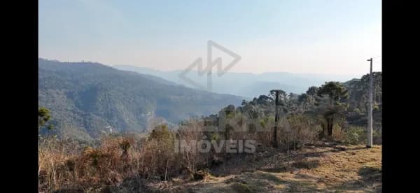 Terreno de 2 Hectares no Morro da Igreja – Vista Deslumbrante