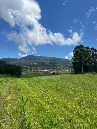 Chácara de 2,7 hectares na Beira do Asfalto