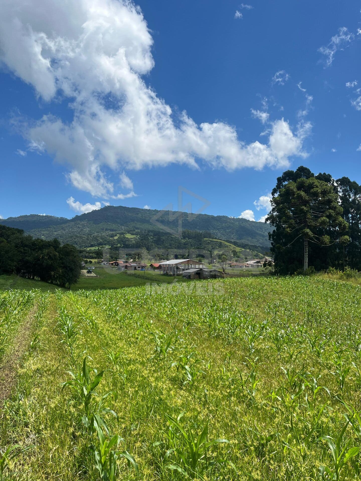 Chácara de 2,7 hectares na Beira do Asfalto