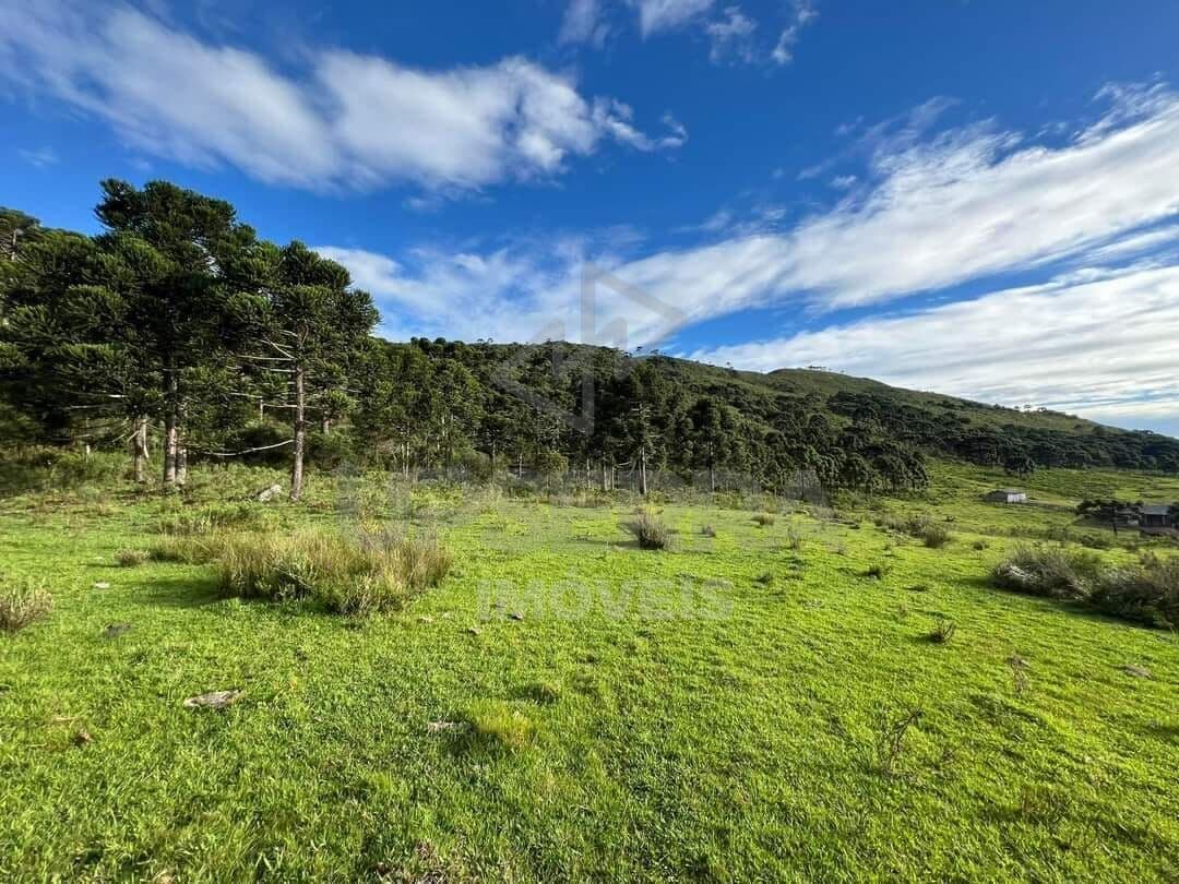 Fazenda/Sítios/Chácaras em Urubici - Centro