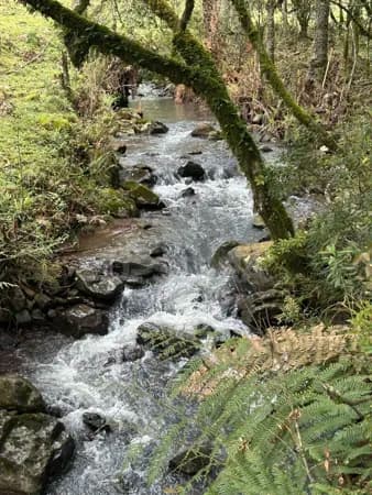 Chácara de 2 hectares em Urubici-SC