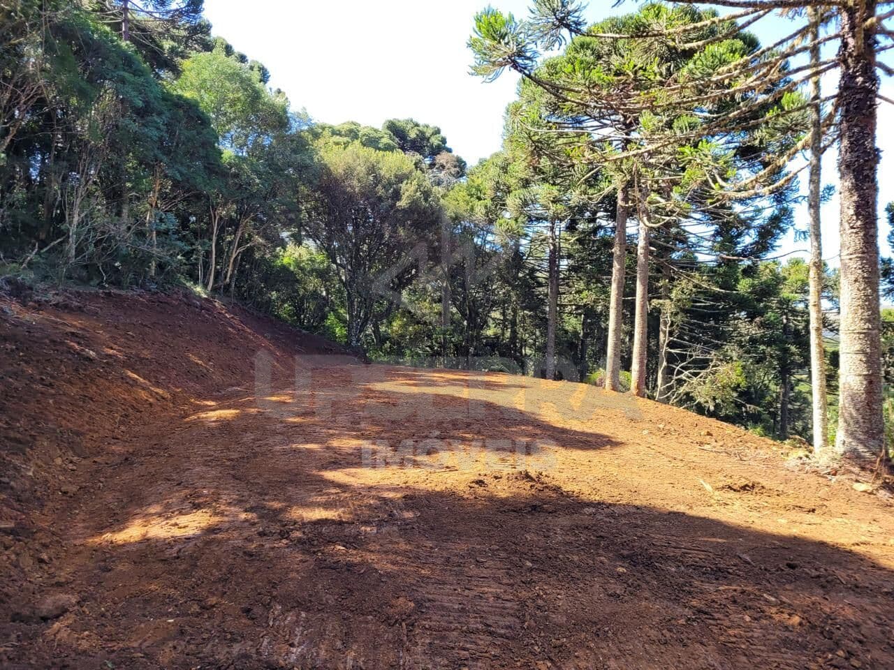 Area Rural em Urubici