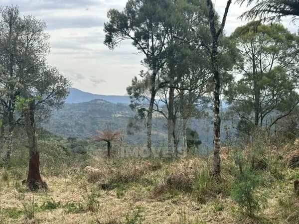 Oportunidade Única: Área Rural com Vista Incrível em Urubici