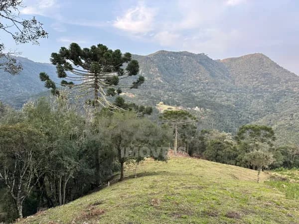 Fazenda/Sítios/Chácaras em Urubici - Rio dos Bugres