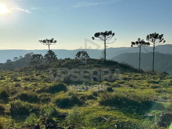 Chácara de 2 hectares com vista linda