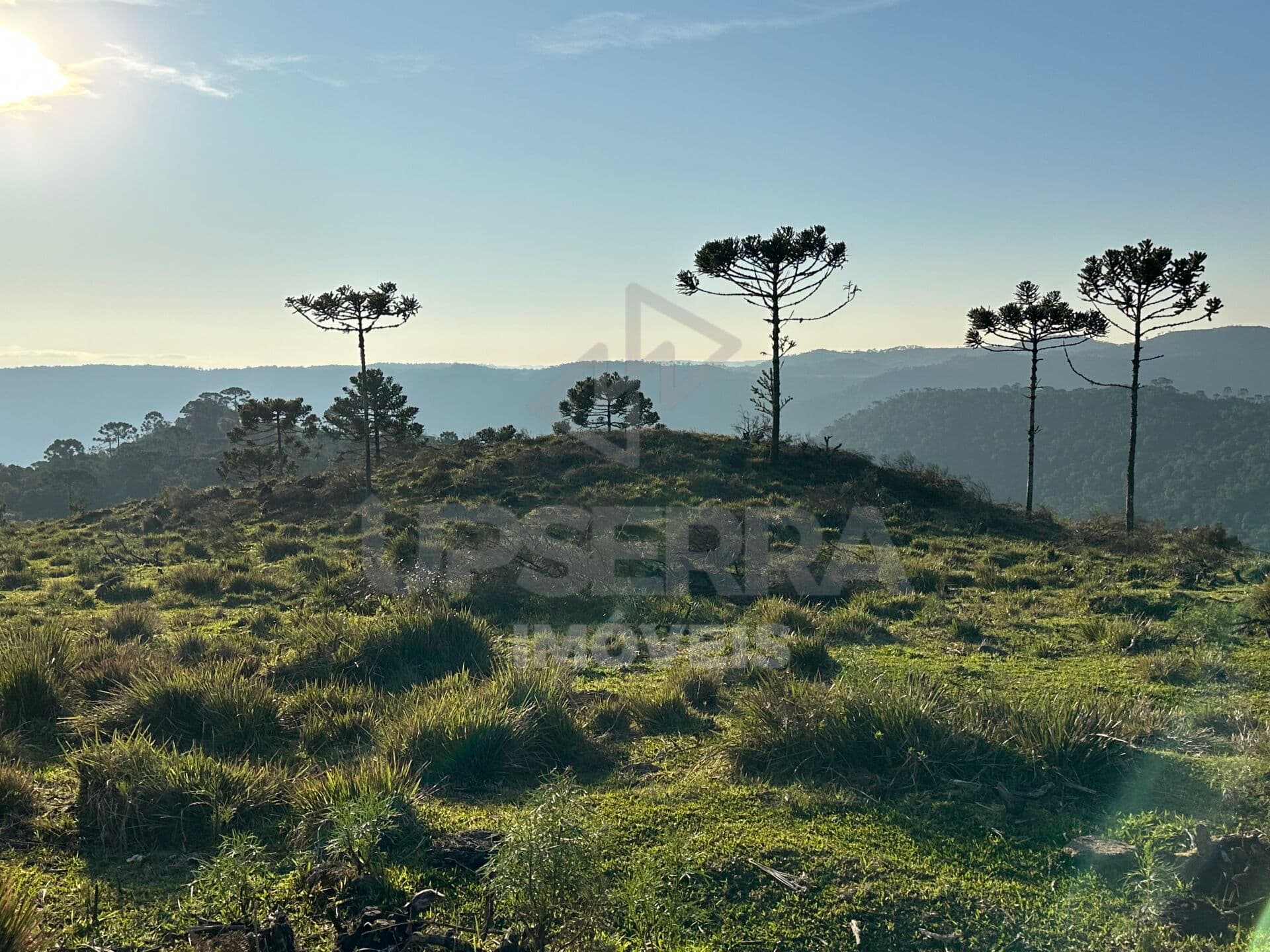 Chácara de 2 hectares com vista linda