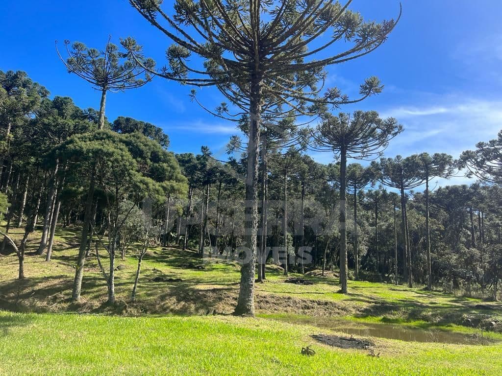 Fazenda/Sítios/Chácaras em Urubici - Centro